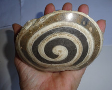 versteinerte Schnecke, ca. 770 Gramm schwer, ca. 80 x 80 x 65 mm