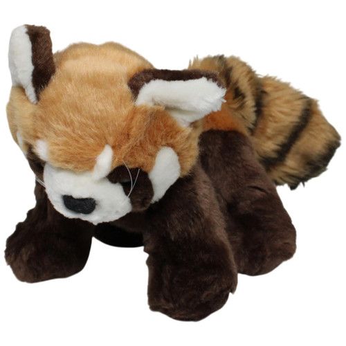 Nature planet roter panda - nature,
