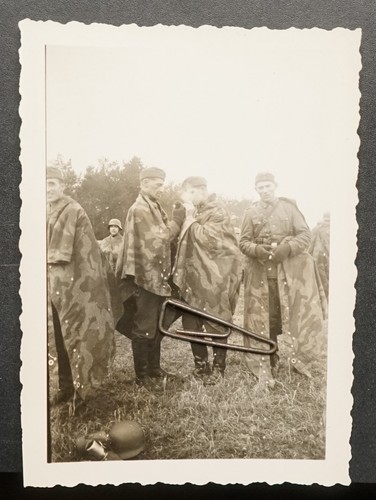 Foto wk2 portrait wehrmacht - foto,