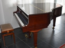 Blüthner Flügel Mod. 10