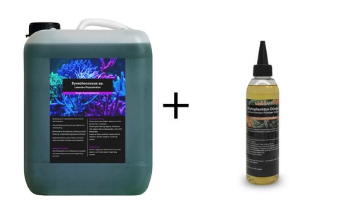 Liter phytoplankton - 5,5,