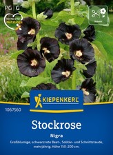Stockrose * Nigra * MHD 01/28 mehrjährig Bauerngarten Kiepenkerl Samen1067560