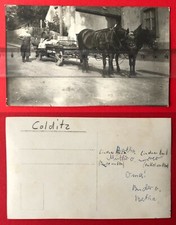 Privat foto colditz 1920 - foto,