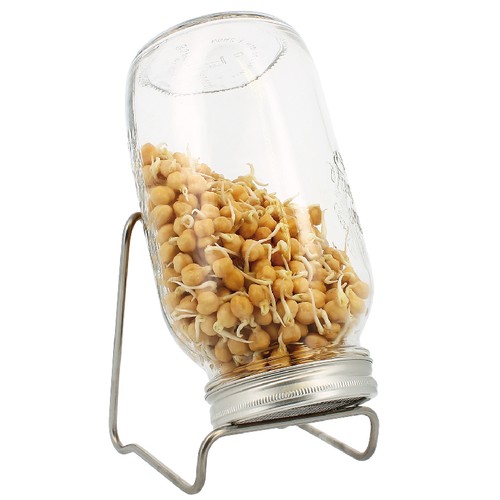 Sprossenglas keimglas set - sprossenglas,