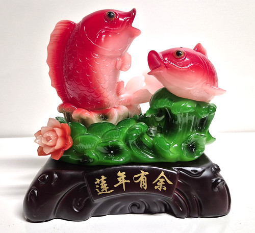 Feng shui koi - koi, roten