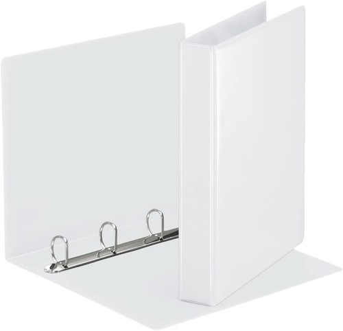 10x esselte 49703 - esselte, ringbuch