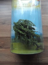 Noch 21770. Trauerweide 11 cm , H0/TT/N,  OVP