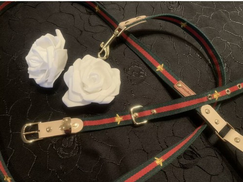 Edel hundegarnitur halsband - edel,