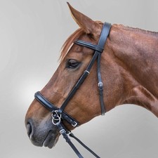 Waldhausen Schwarz WB