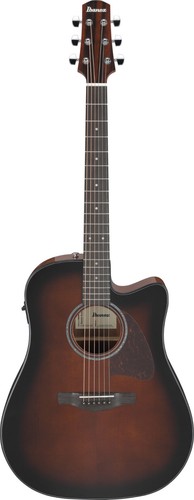 Ibanez advanced acoustic - advanced,