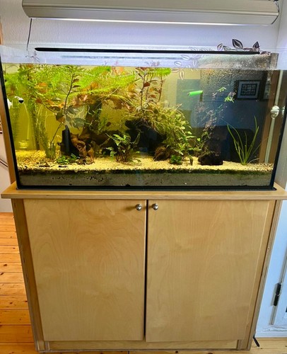 Aquarium komplett mit - aquarium,
