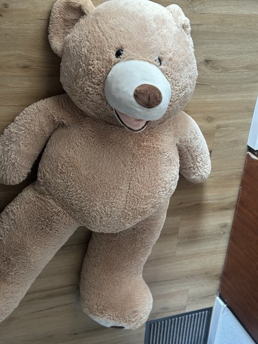 Xxxl großer plüschbär - xxxl,