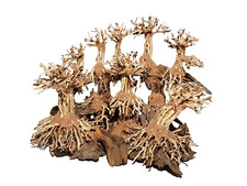 Aquarienlandschaft Landscape