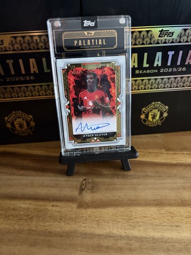 Manchester united palatials - manchester,