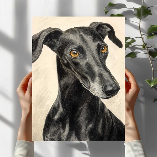 Windhund premium poster - windhund,