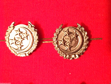 UDSSR Kragenspiegel Armee Tarnjacke Sowjetunion (rund) TURKMENIEN (#19)