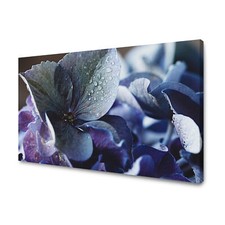 Leinwand-Bilder Pflanzen Botanik Blauer Hortensienstrauch Größe 40x30 bis 120x80