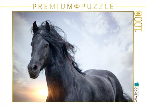 Calvendo puzzle ein motiv - puzzle,