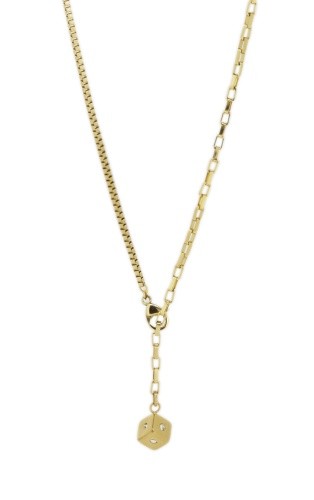 Coeur lion kette mit - lion,