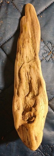 Treibholz schwemmholz - treibholz,