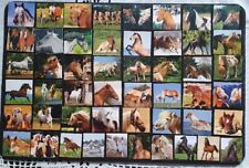 50 kleine Pferdebilder, Pferde, Pferdefotos, Haflinger Isländer Friese usw. (15)