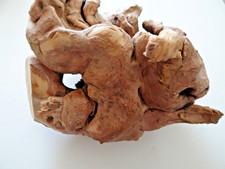 Blauglockenbaum Wurzel  Bastelholz 18 x 14 cm.