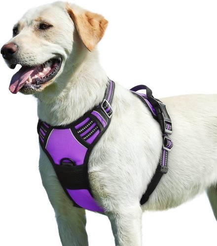 Hundegeschirr für große