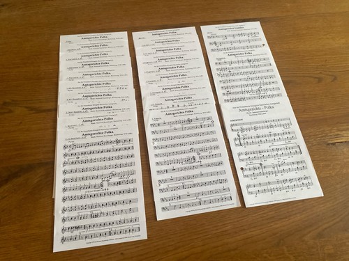 Noten amtsgerichts polka - noten:, (