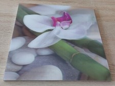 Wackelbild - Lavendel 