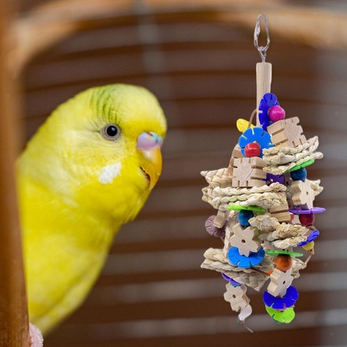 Holz papagei vogel - holz,