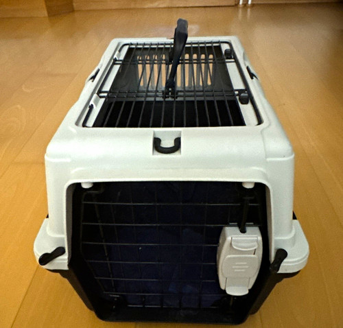 Katzen transportbox aus - katzen,