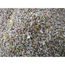 Mischmais - High Energy