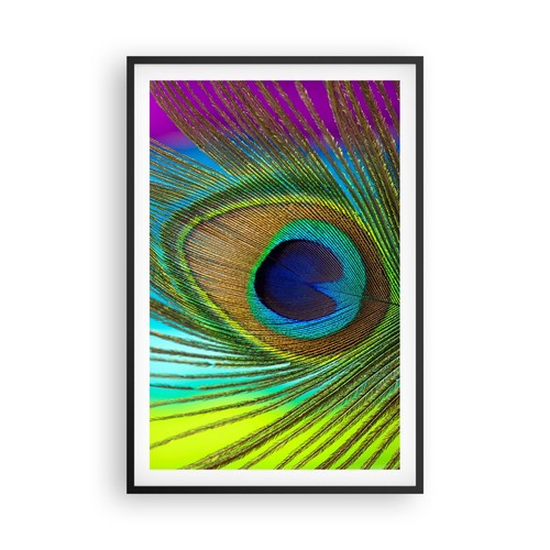 Wandbilder 61x91cm poster - 61x91cm,