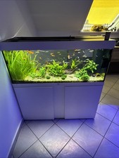 240 l Aquarium mit Besatz