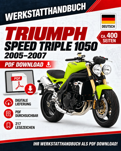 Triumph speed triple - triumph,