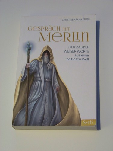 Gespräch mit merlin reise - merlin,