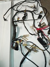 Elektrischer Kabelbaum Enduro