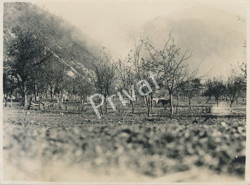 Foto kaiserliche armee - wk,