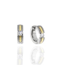 Hochwertige Titan Creolen  &