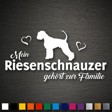 20825 Riesenschnauzer