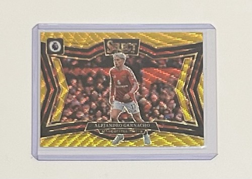 Alejandro garnacho gold - garnacho, /10
