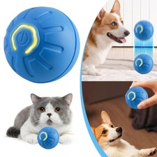 Power Ball Katzen Hunde