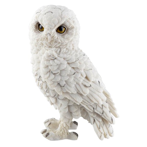 Schneeeule stehend