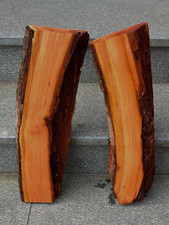 Pflaume Zwetschge Bohlen mit