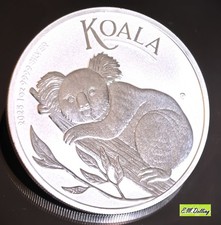 Australien 1 Dollar Koala aus