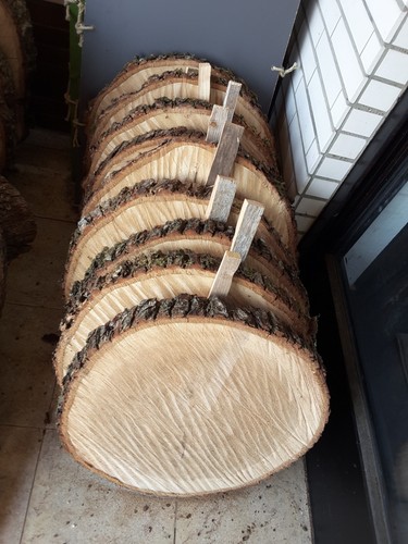 Baumscheibe xxl eiche - xxl,
