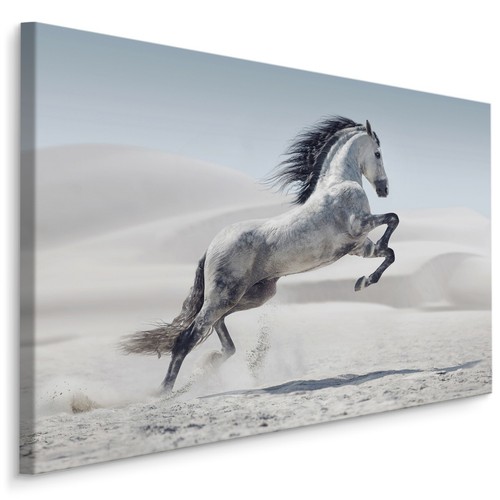 Canvas leinwand bilder - canvas,