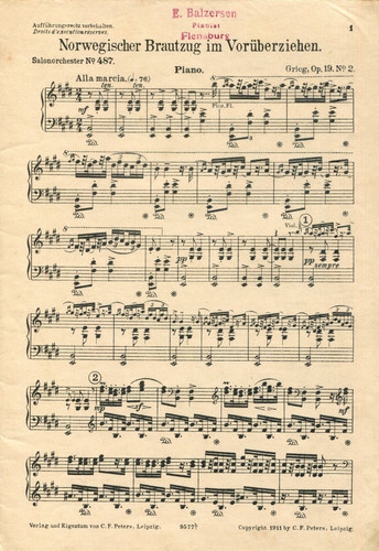 Norwegischer brautzug - brautzug, im