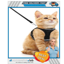 Katzengeschirr mit leine - mit,