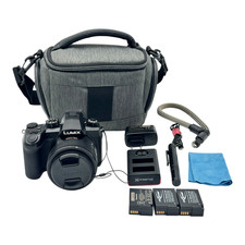 Panasonic Lumix DC-FZ1000 II